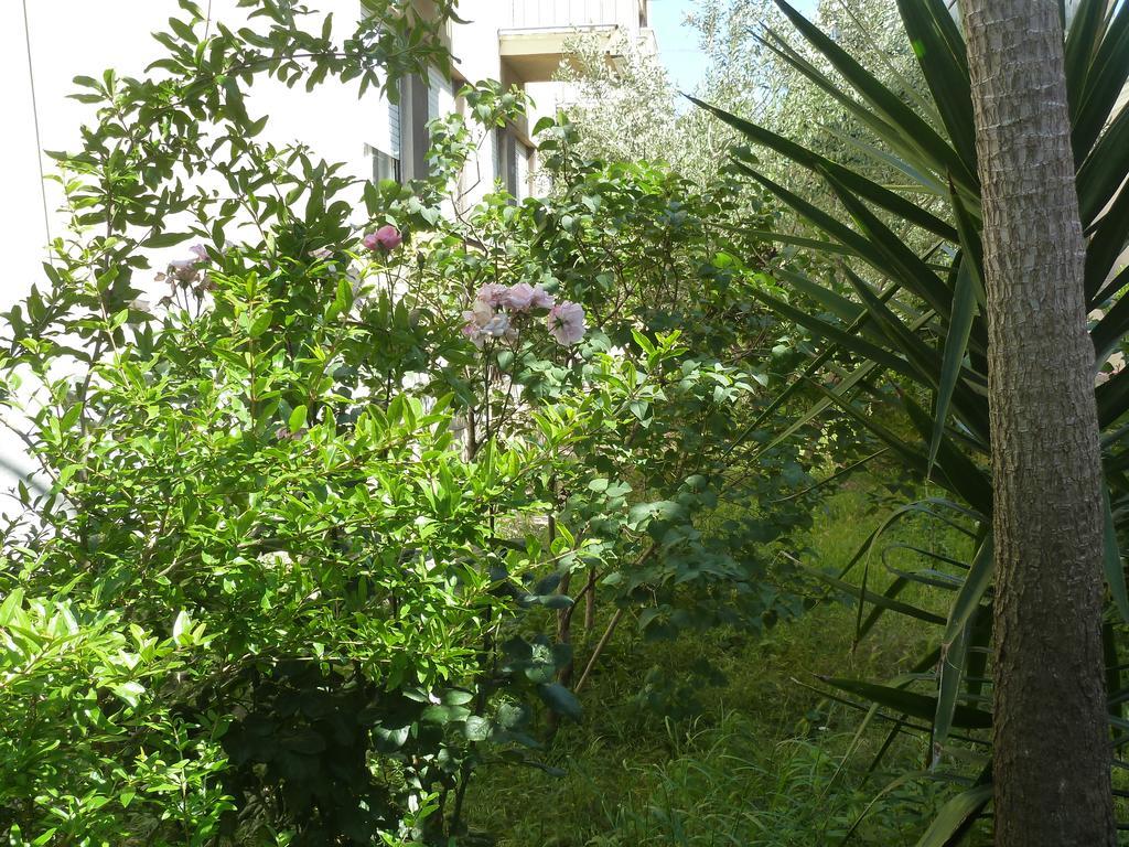 Apartment Marina زادار المظهر الخارجي الصورة