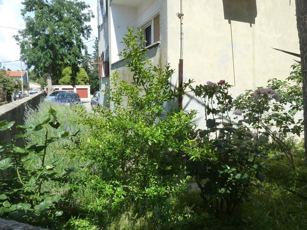 Apartment Marina زادار المظهر الخارجي الصورة